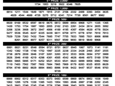 Rajshree Lottery Result Today