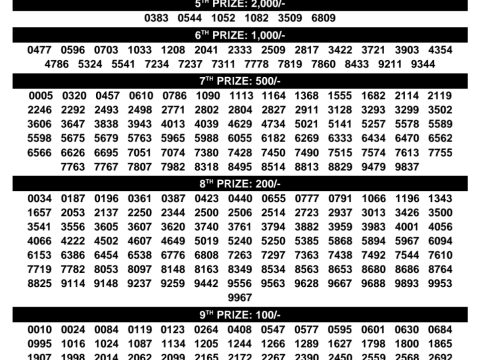 Rajshree Lottery Result Today