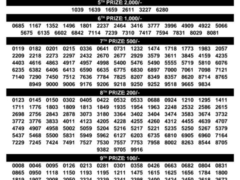 Rajshree Lottery Result Today