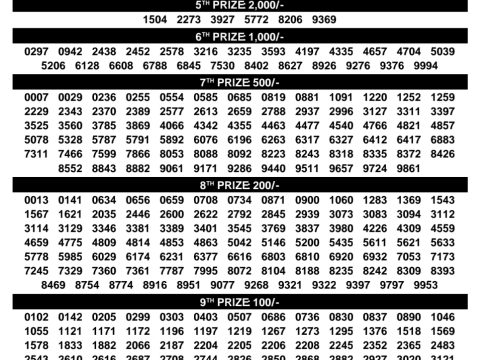 Rajshree Lottery Result Today