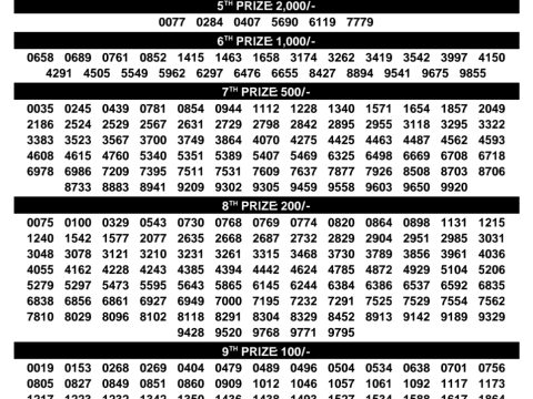 Rajshree Lottery Result Today