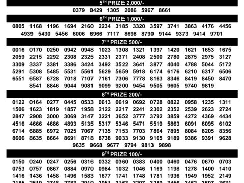 Rajshree Lottery Result Today