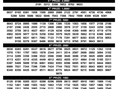 Rajshree Lottery Result Today