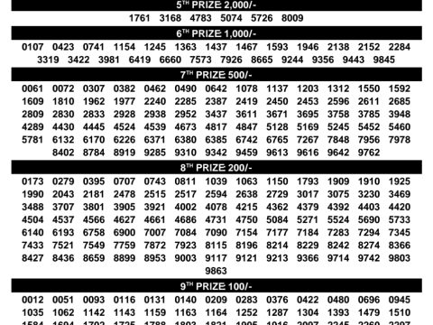 Rajshree Lottery Result Today