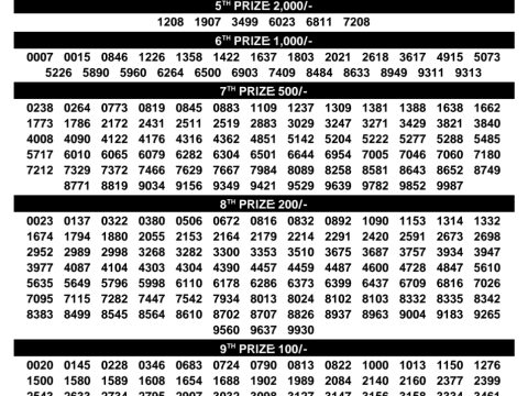 Rajshree Lottery Result Today