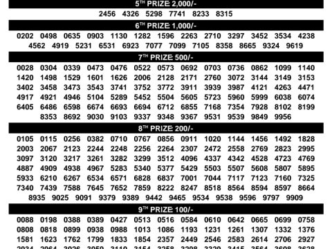 Rajshree Lottery Result Today