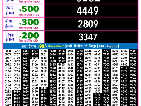 Rajshree Lottery Result Today
