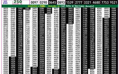 Rajshree 50 Shukra Weekly Lottery 7:30pm Result 13 March 2026