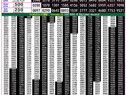 Rajshree Lottery Result Today