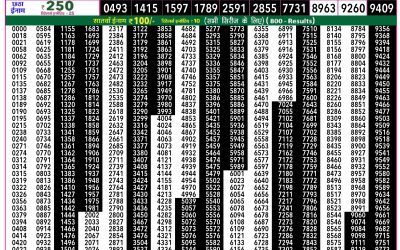Rajshree 50 Ravi Weekly Lottery 7:30pm Result 08 March 2026