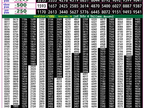 Rajshree Lottery Result Today