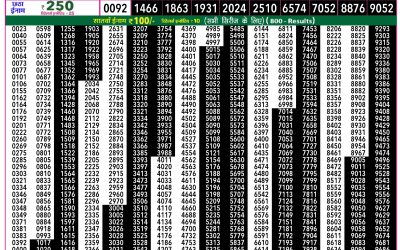 Rajshree 50 Ravi Weekly Lottery 7:30pm Result 01 March 2026