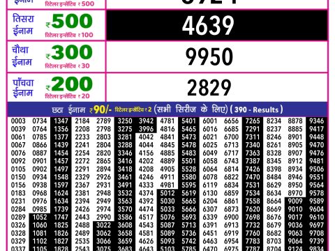 Rajshree Lottery Result Today