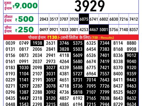 Rajshree Lottery Result Today