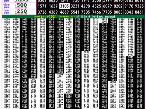 Rajshree Lottery Result Today
