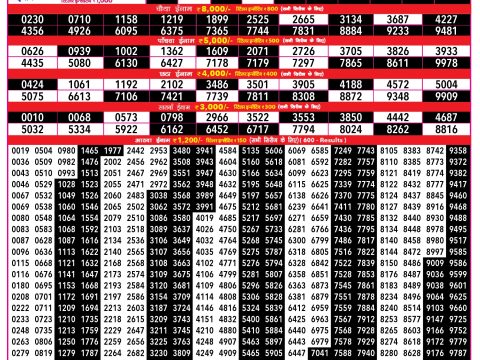 Rajshree Lottery Result Today