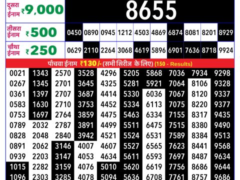 Rajshree Lottery Result Today
