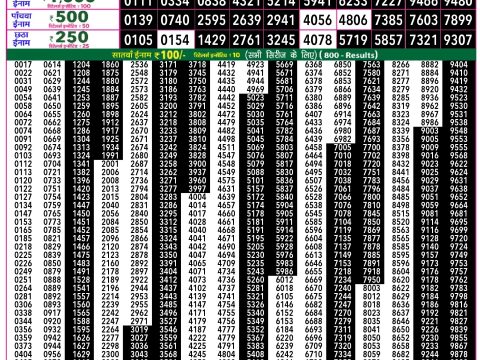 Rajshree Lottery Result Today