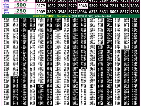 Rajshree Lottery Result Today