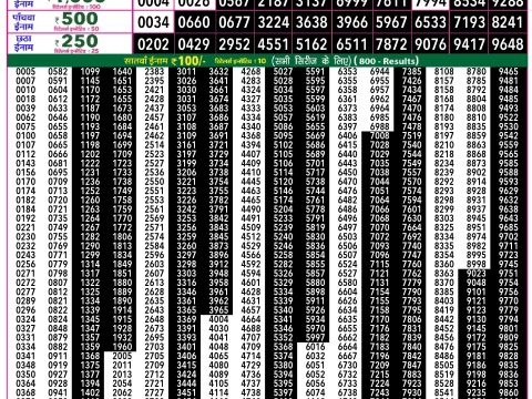 Rajshree Lottery Result Today
