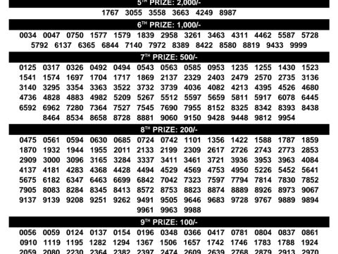 Rajshree Lottery Result Today