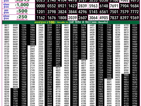 Rajshree Lottery Result Today