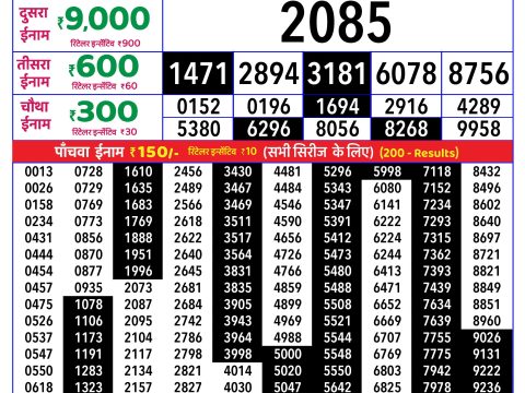 Rajshree Lottery Result Today