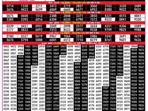 Rajshree Lottery Result Today