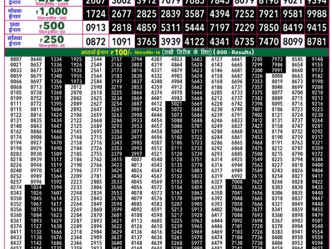 Rajshree Lottery Result Today