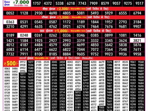 Rajshree Lottery Result Today