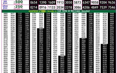 Rajshree 50 Ravi Weekly Lottery 7:30pm Result 19 April 2026