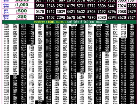 Rajshree Lottery Result Today
