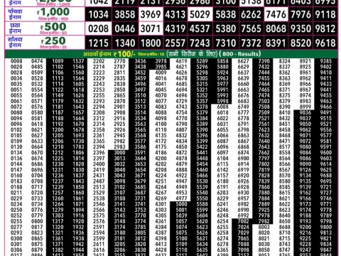Rajshree Lottery Result Today