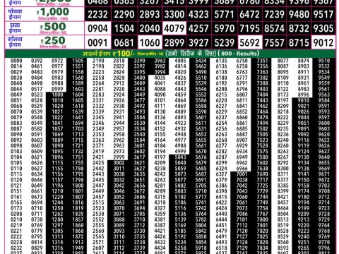 Rajshree Lottery Result Today