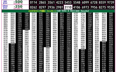 Rajshree 50 Mangal Weekly Lottery 7.30pm Result 28 April 2026