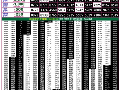 Rajshree Lottery Result Today