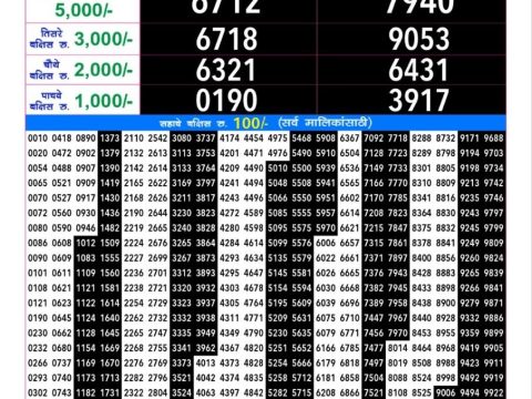 Rajshree Lottery Result Today