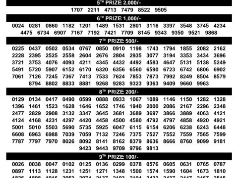 Rajshree Lottery Result Today