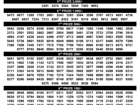 Rajshree Lottery Result Today