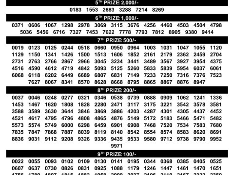 Rajshree Lottery Result Today
