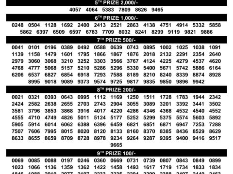 Rajshree Lottery Result Today