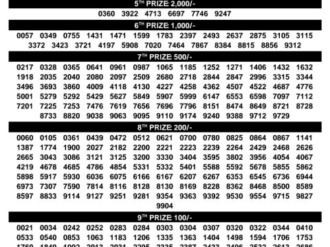 Rajshree Lottery Result Today