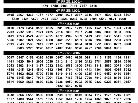 Rajshree Lottery Result Today