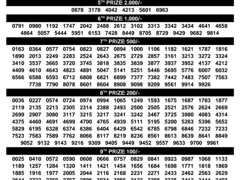 Rajshree Lottery Result Today
