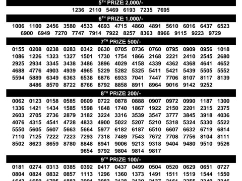 Rajshree Lottery Result Today