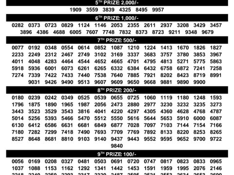 Rajshree Lottery Result Today