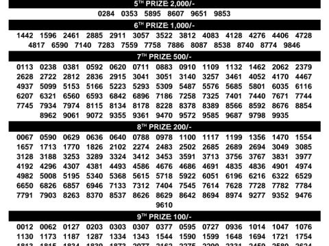 Rajshree Lottery Result Today