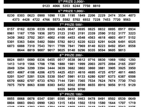 Rajshree Lottery Result Today