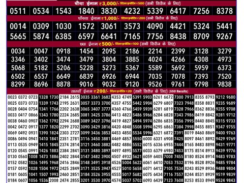 Rajshree Lottery Result Today