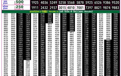 Rajshree 50 Shani Weekly Lottery 7.30pm Result 04 April 2026